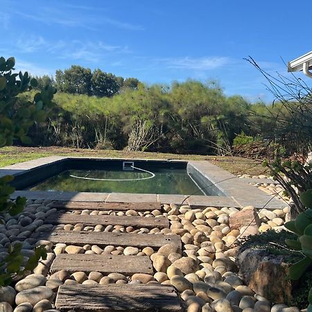 Tenikwa Wildlife Centre & Spa 普勒滕贝格湾 外观 照片