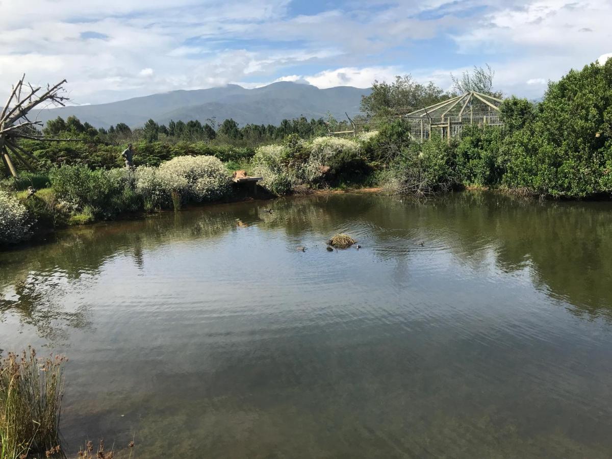 Tenikwa Wildlife Centre & Spa 普勒滕贝格湾 外观 照片