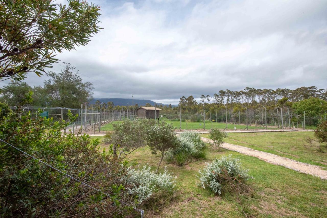 Tenikwa Wildlife Centre & Spa 普勒滕贝格湾 外观 照片