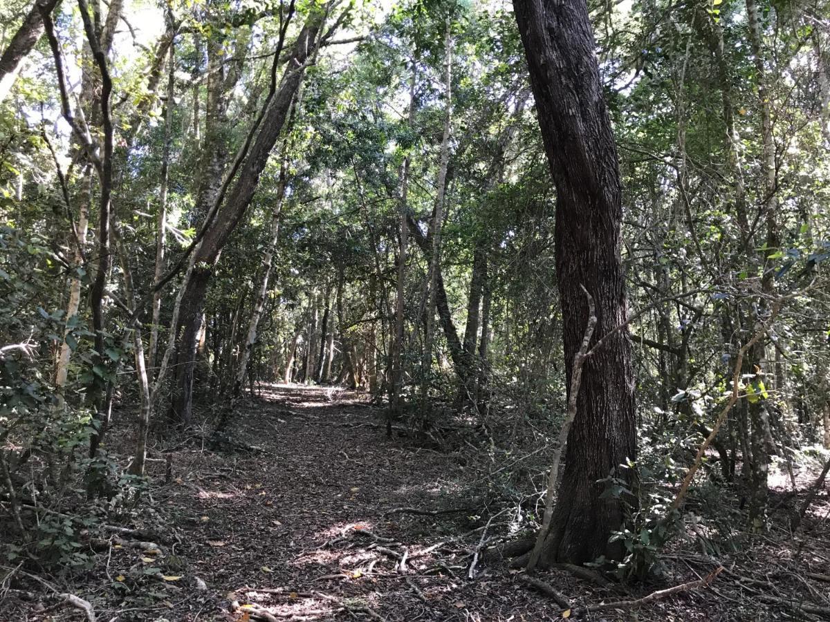 Tenikwa Wildlife Centre & Spa 普勒滕贝格湾 外观 照片