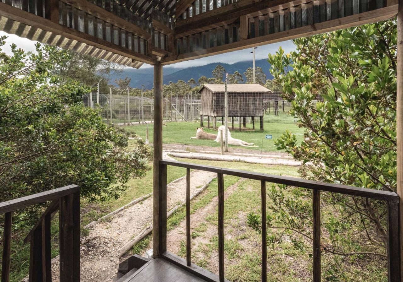 Tenikwa Wildlife Centre & Spa 普勒滕贝格湾 外观 照片